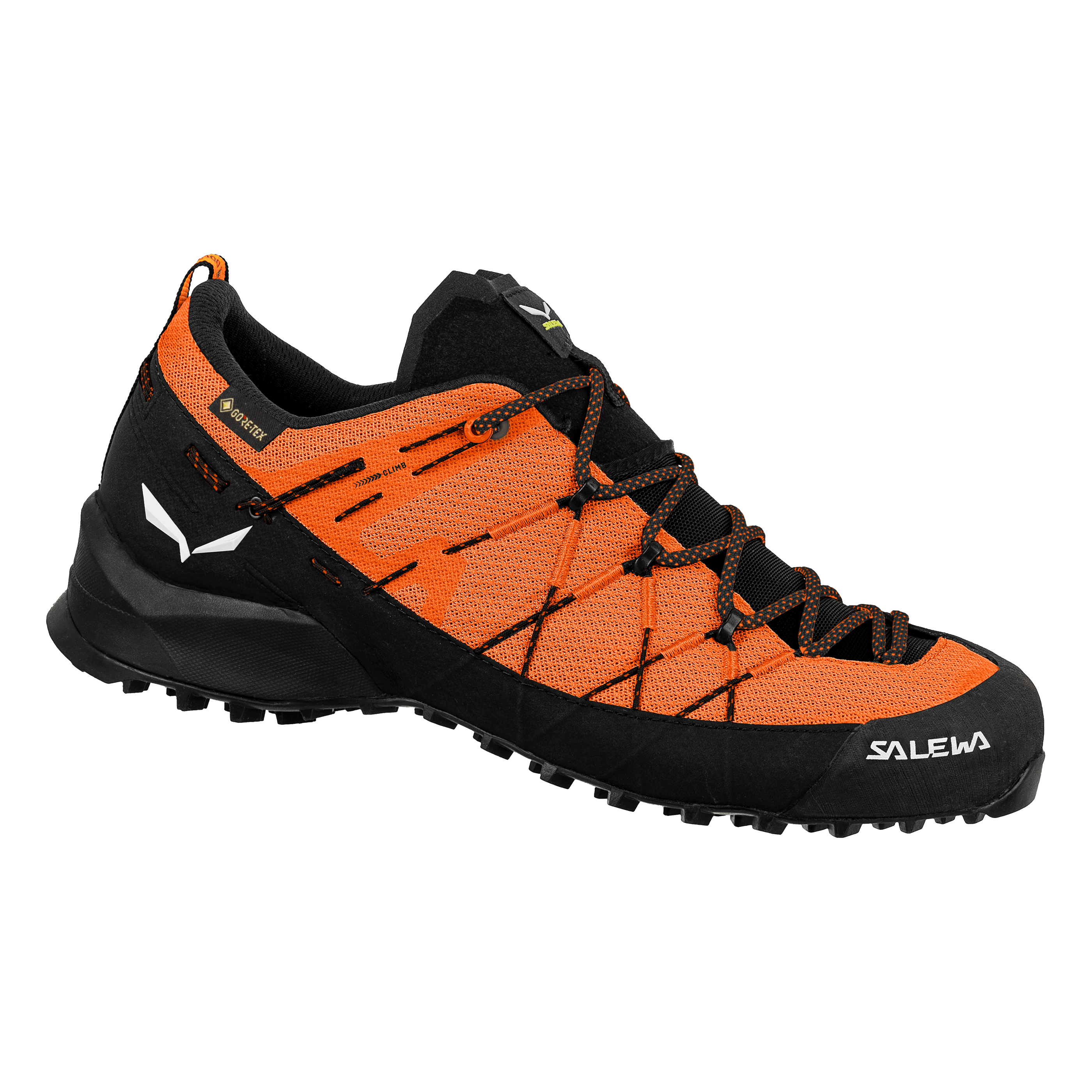 Zapatilla Wildfire 2 Gore-Tex® Hombre